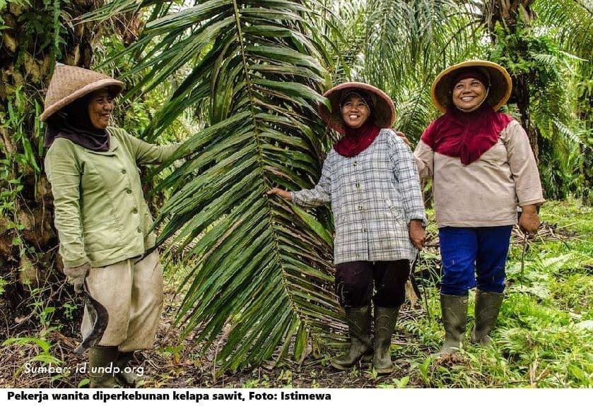 Menjaga Sawit, Menjaga Wanita dan Menjaga Indonesia