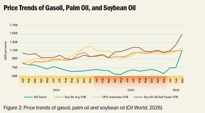 Prospek Harga Minyak Sawit: Didukung Pasar Energi, Dibatasi Ketidakpastian