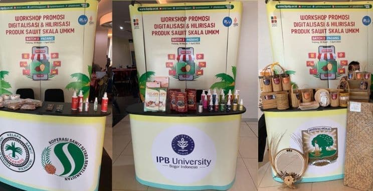 Pemerintah Dorong Pelaku UMKM Berbasis Sawit