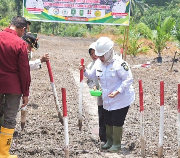 Bengkalis Dorong Ketahanan Pangan Melalui PSR