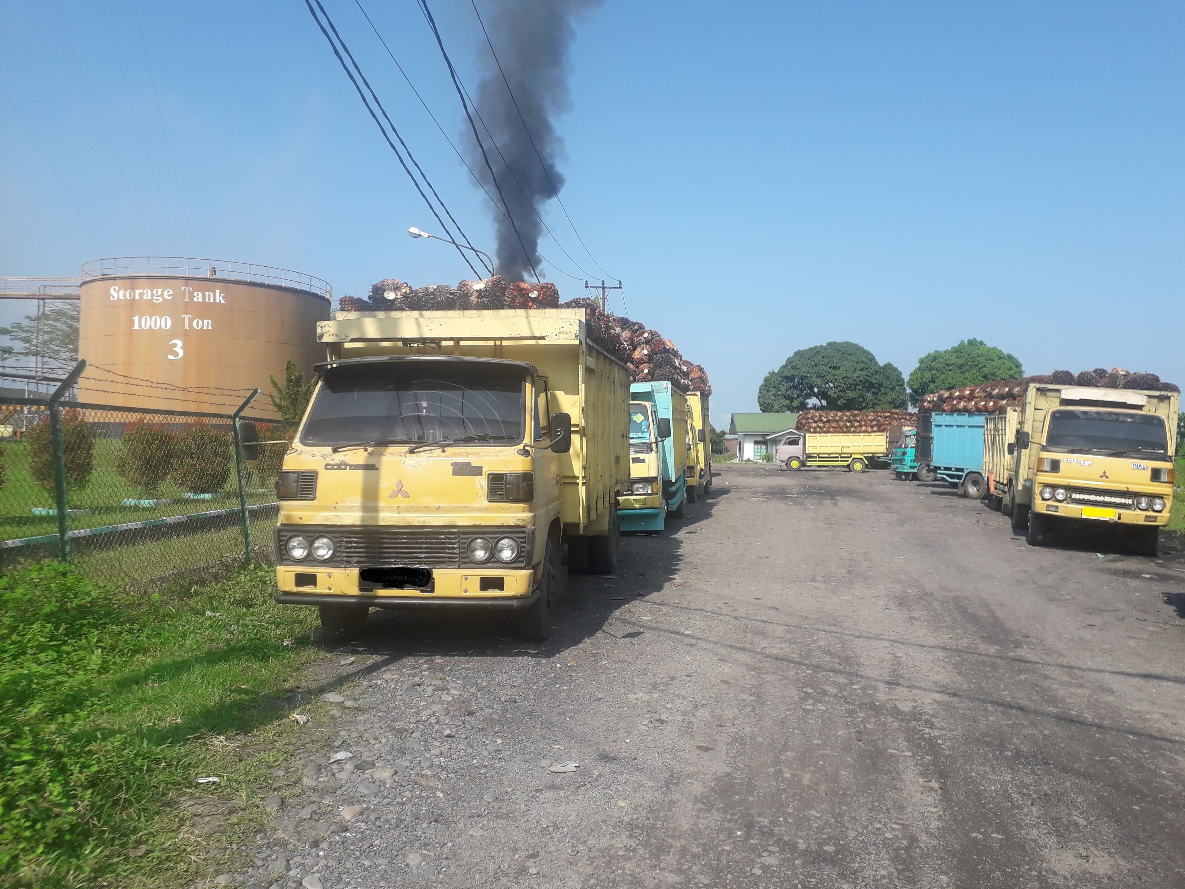 Implementasi Sertifikasi Hilir ISPO Dipercepat Melalui Skema Akreditasi KAN