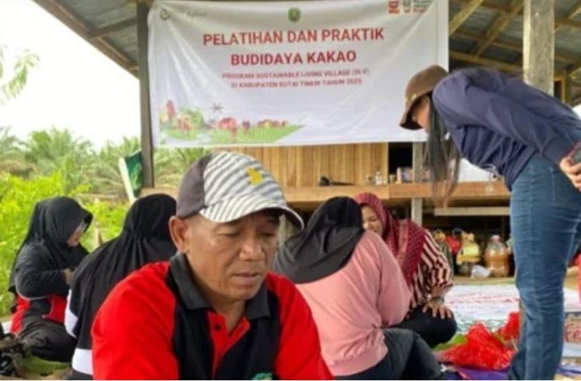 Apical Tidak Hanya Mengolah Sawit Tapi juga Kakao Lewat Program SLV di Kutai Timur