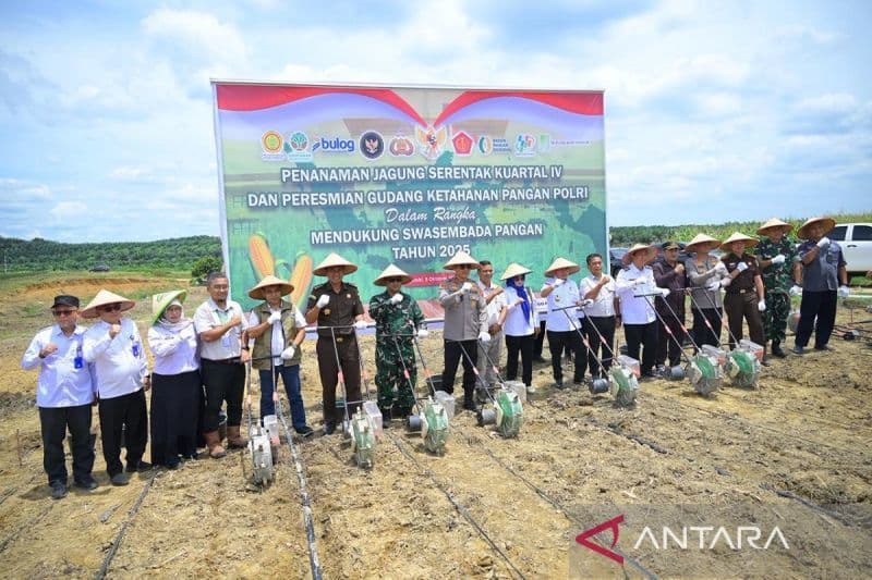 Sawit Berkontribusi Wujudkan Ketahanan Pangan