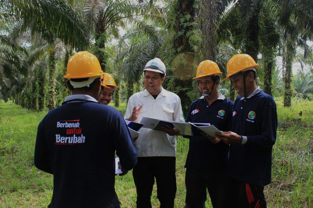 RSPO Gelontorkan Rp 34,5 Miliar untuk Petani Sawit Indonesia, Tantangan Terbesar Ada pada Kelembagaan