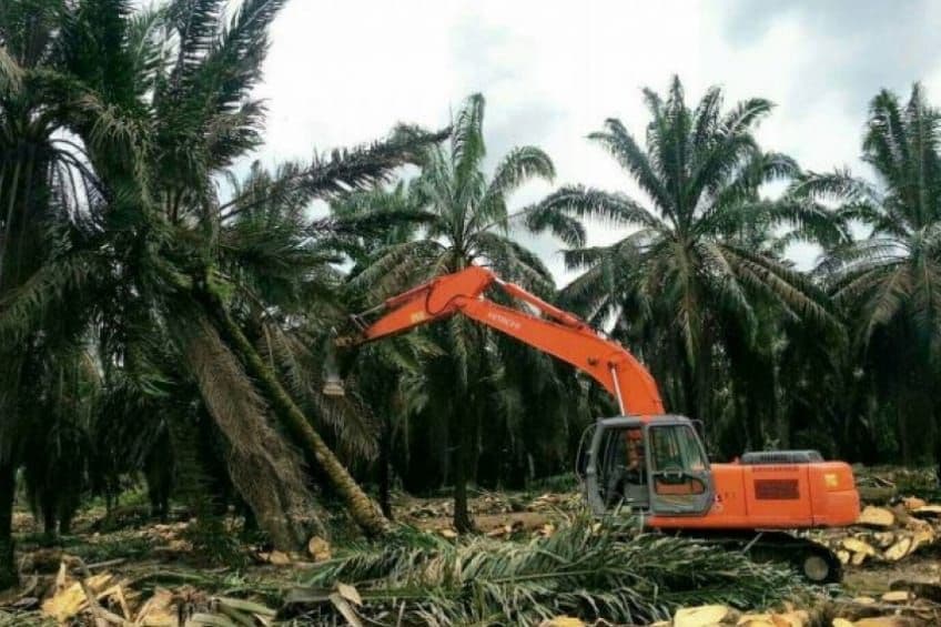 Target PSR Kaltim 18.000 Hektare, Realisasi Baru 2.120 Hektare