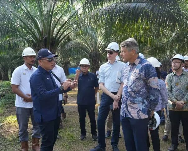 Tiga Pilar Dijalankan PalmCo untuk Wujudkan Industri Sawit Berkelanjutan