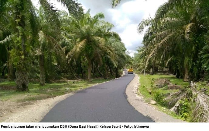 Pemanfaatan DBH Sawit Diperluas