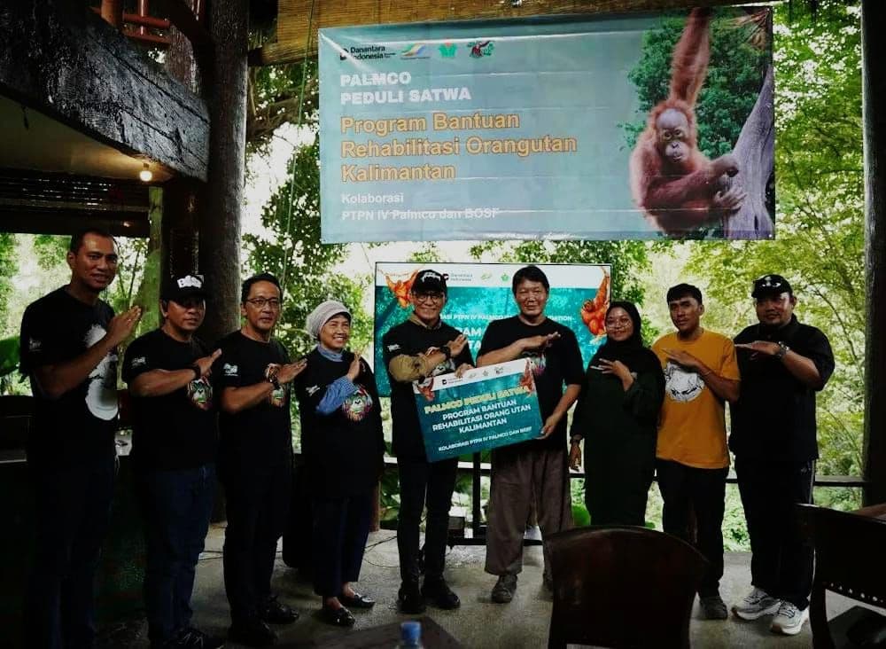 Tunjukkan Sawit Ramah Alam, PalmCo Dukung Rehabilitasi Orangutan Demi Jaga Keseimbangan Industri Sawit dan Konservasi