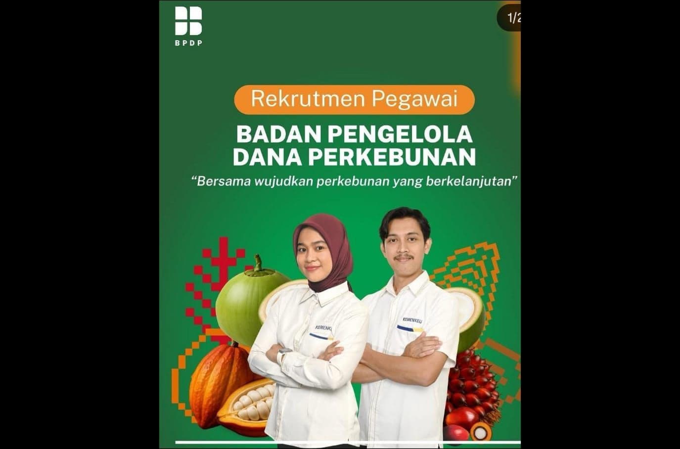 BPDP Buka 16 Formasi Peluang Karier, Dibutuhkan Programer hingga Staf Akuntansi PSR