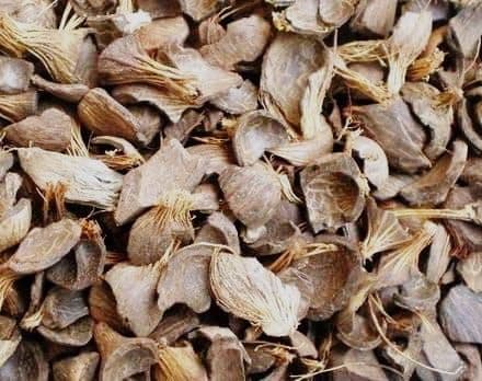 Ekspor Cangkang Kelapa Sawit Turun, Jepang Masih Jadi Pengimpor Utama