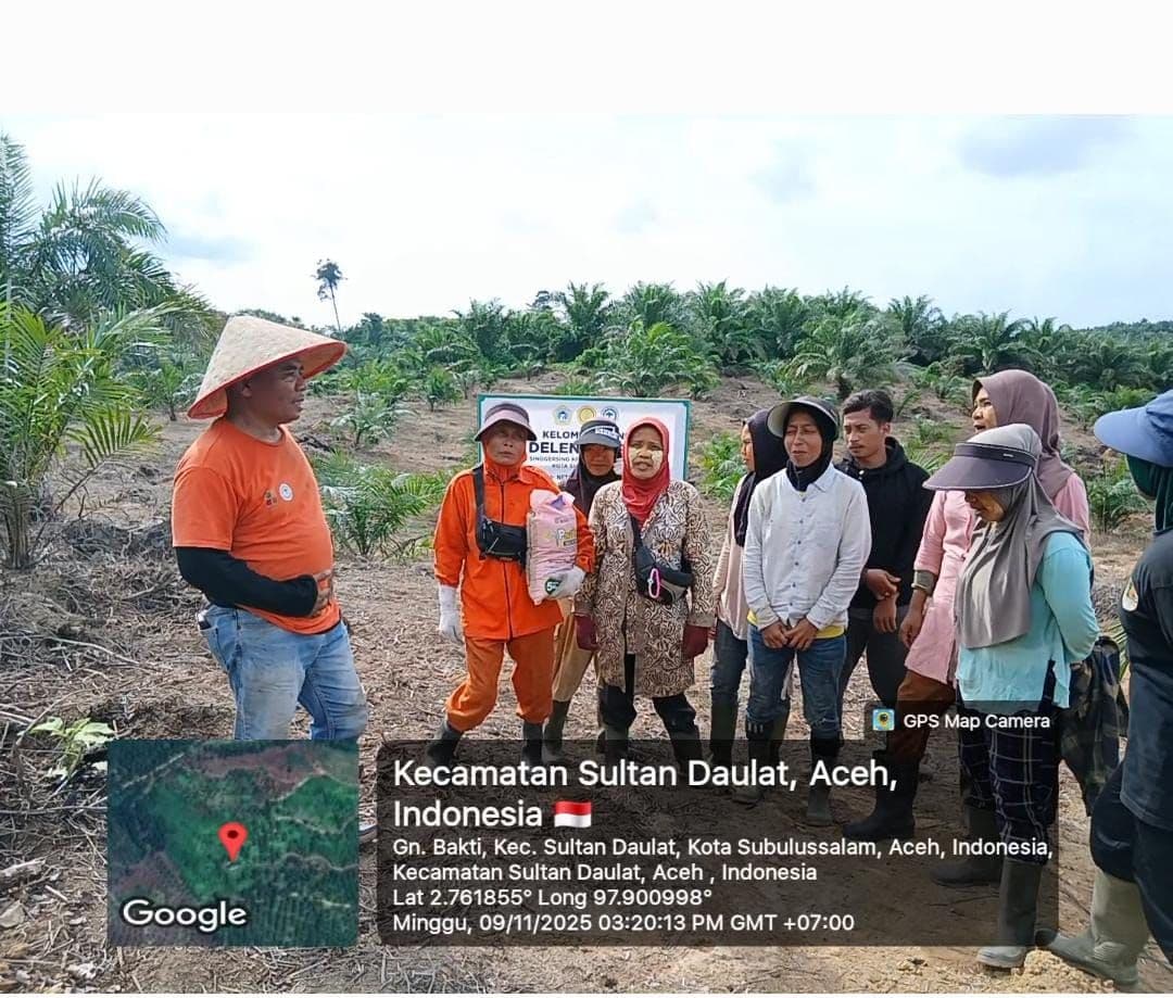 Petani Subulussalam Mulai Tanam Padi Gogo di Lahan Sawit, Dukung Program Swasembada Beras Nasional