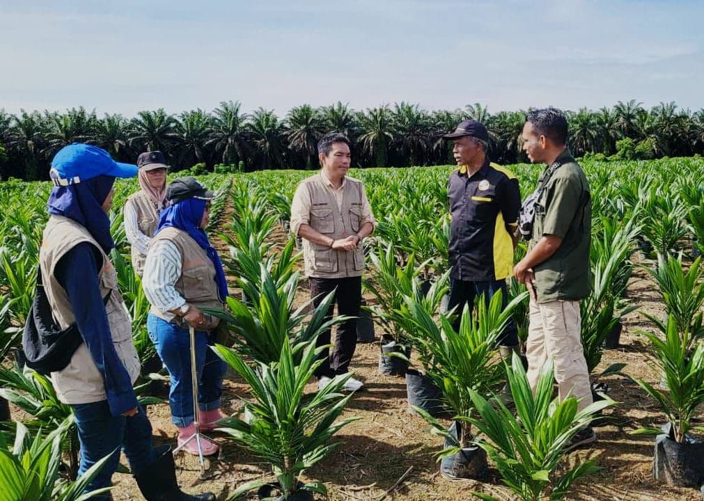 Pemprov Kalteng Pastikan Mutu Benih Sawit Melalui Sertifikasi