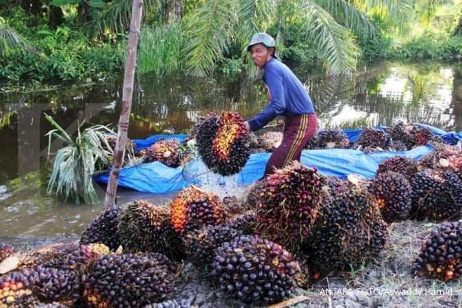 Lindungi Petani Sawit, Pemkab Penajam Paser Utara Gandeng BPJS Ketenagakerjaan