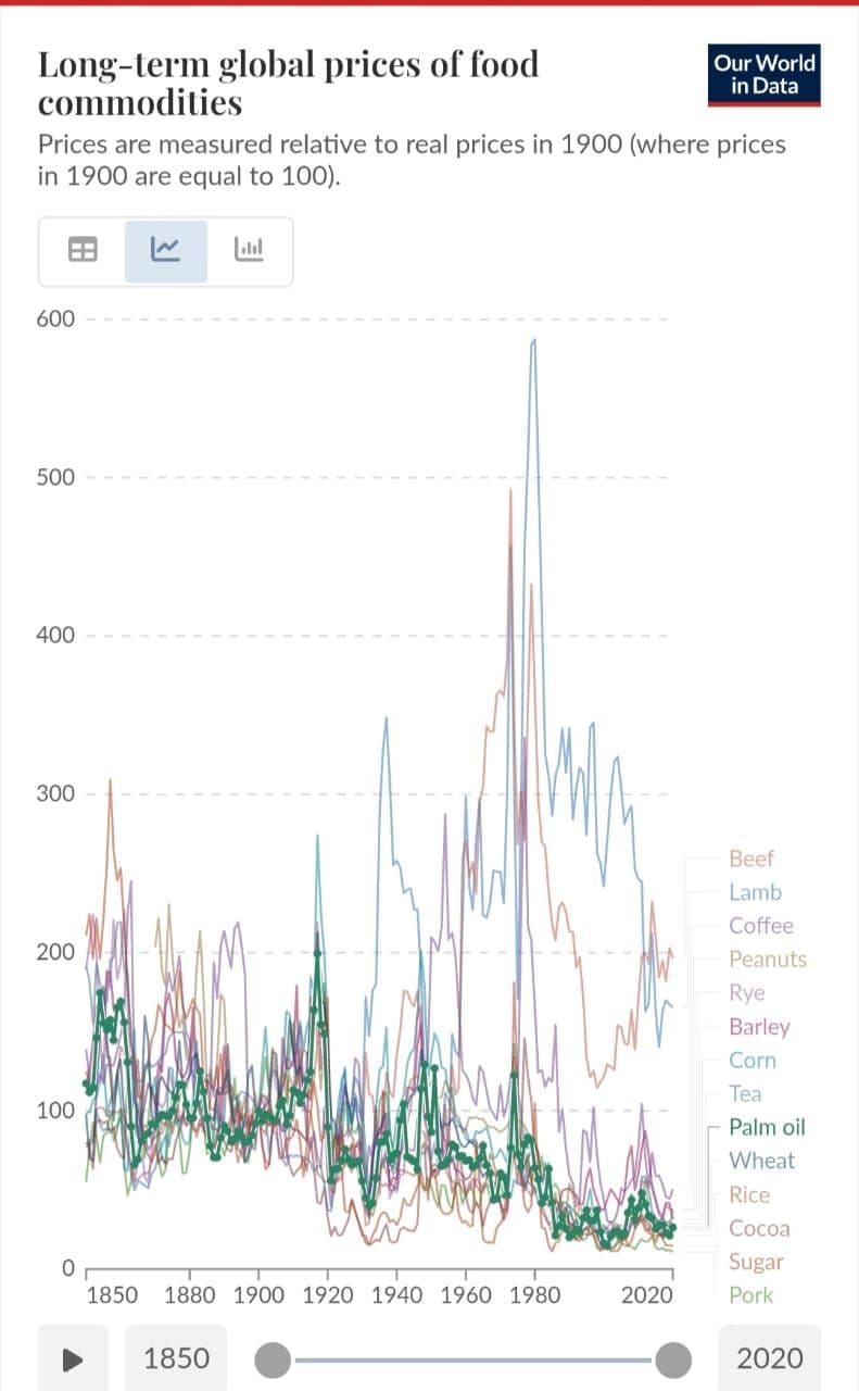 WhatsApp Image 2026-01-02 at 13.02.25.jpeg