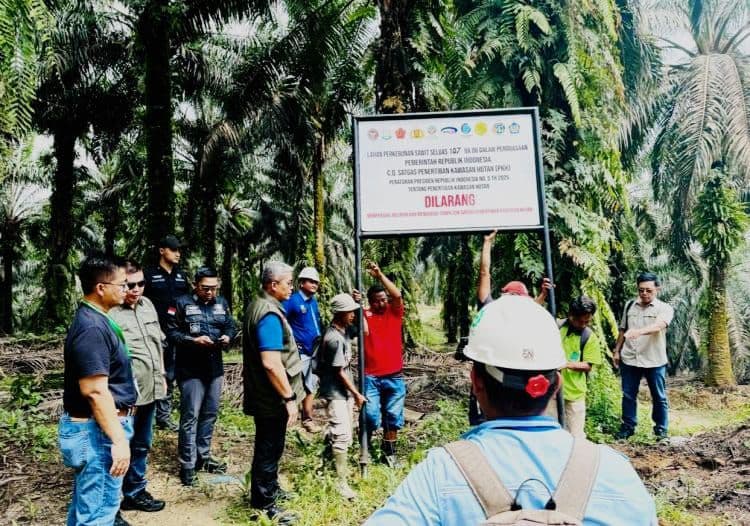 Ketika Kebun Sawit Sitaan Menjadi Aset Negara: Antara Penegakan Hukum dan Tantangan Keberlanjutan