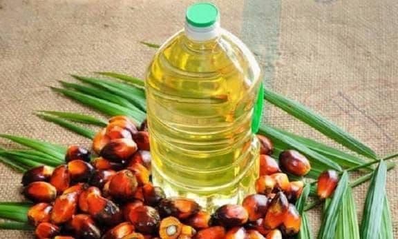 Fluktuasi DMO Picu Risiko Harga Minyak Goreng, Kemendagri Usul Skema “Kasbon” Pasokan