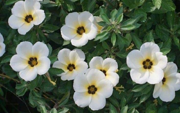 WhatsApp Image 2026-02-05 at 09.54.12.jpeg