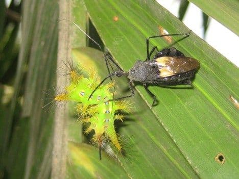 WhatsApp Image 2026-02-05 at 10.04.28.jpeg