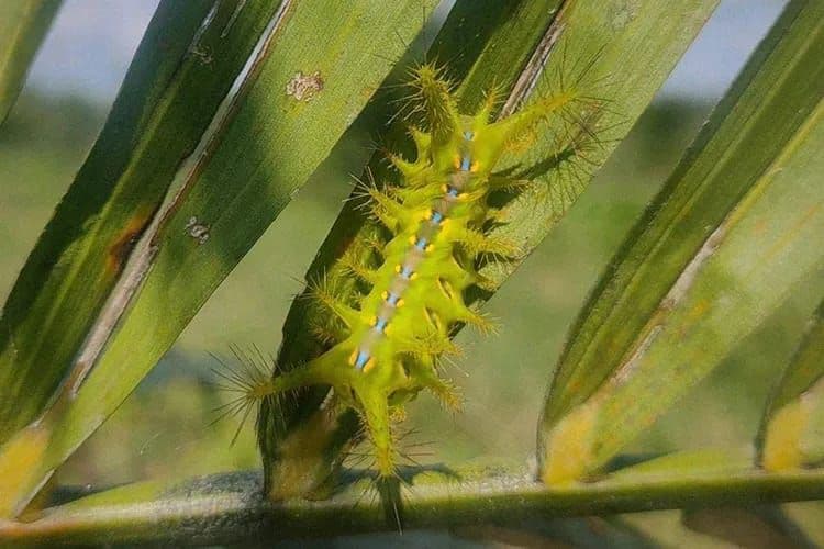 WhatsApp Image 2026-02-05 at 10.04.32.jpeg