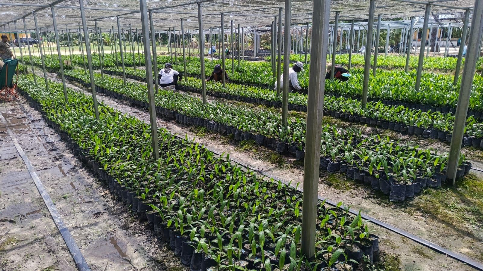 WhatsApp Image 2026-02-24 at 13.32.40 (1).jpeg