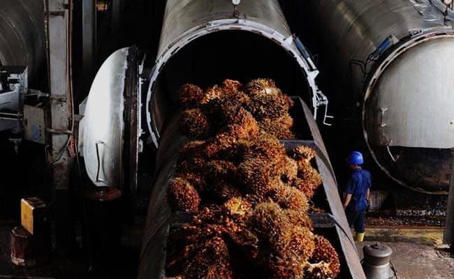 Harga CPO Bursa Malaysia Menguat Dipicu Lonjakan Minyak Dunia
