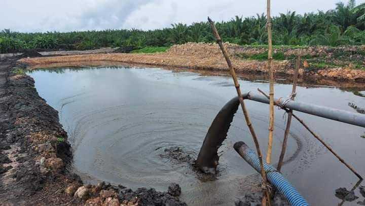CBG dari Limbah Sawit Dinilai Bisa Tekan Emisi dan Kurangi Ketergantungan LNG