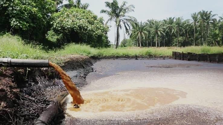 Pertamina Bidik Sawit dan Limbahnya Jadi Andalan Ketahanan Energi Nasional