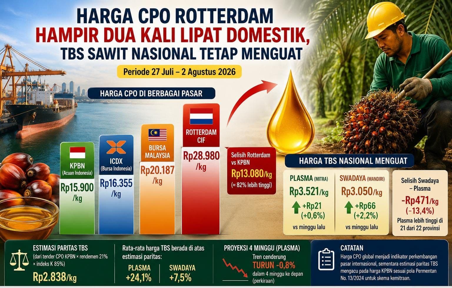 Harga TBS Sawit Nasional Kompak Menguat, Tapi Harga CPO Domestik Masih Tertinggal Jauh dari Pasar Global