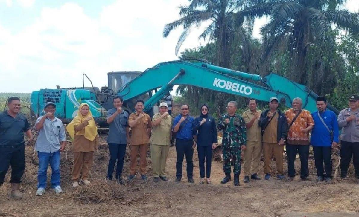 58,3 Hektare Sawit Rakyat di Belitung Diremajakan, Pemkab Dorong Modernisasi Kebun