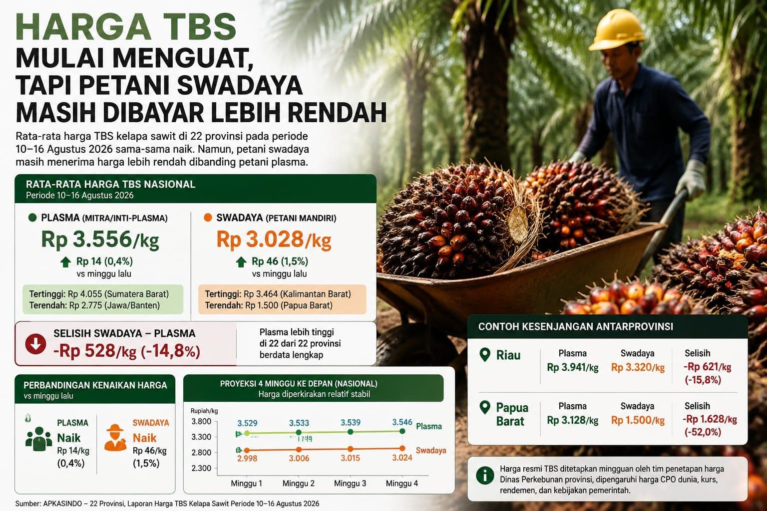 Harga TBS Mulai Menguat, Tapi Petani Swadaya Masih Dibayar Lebih Rendah