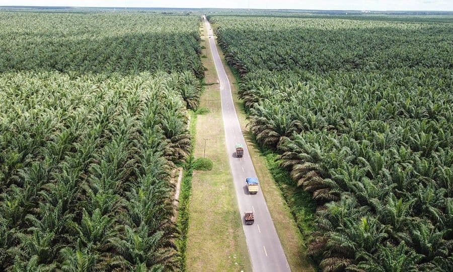 DPRD Riau Minta DBH Sawit Rp101 Miliar Tak Hanya untuk Jalan Mahato