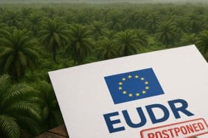 Petani Sawit Terancam Terdepak dari Pasar Global Jelang Penerapan EUDR, INDEF Desak Pemerintah Bertindak Cepat