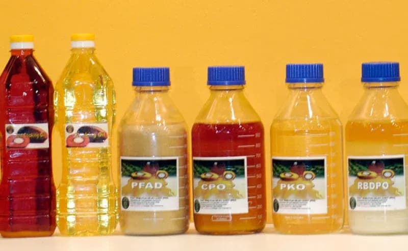 Harga CPO Melemah di Akhir Pekan, Tertekan Pembelian Kedelai Besar-besaran oleh Tiongkok