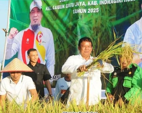 Panen Perdana Padi Gogo Warnai Sukses Program PSR di Indragiri Hulu