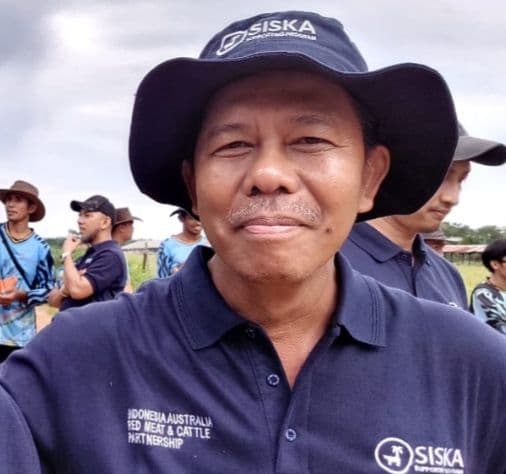 Integrasi Sawit – Sapi Dorong Swasembada Daging Sapi